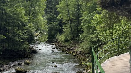 Bike, Golf & Hike Bike, Golf & Hike