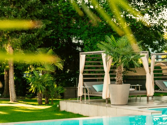 Palmen Infinty-Pool Palmen Infinty-Pool