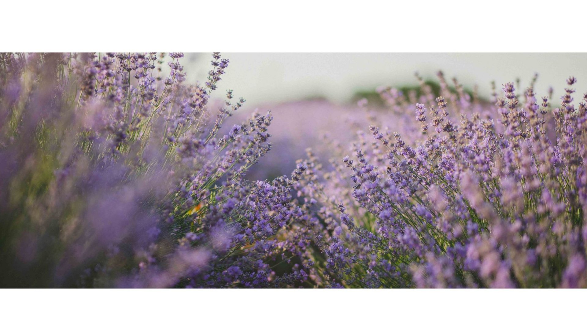 Wellness in Bad Wörishofen: our offer Wellness in Bad Wörishofen: our offer
