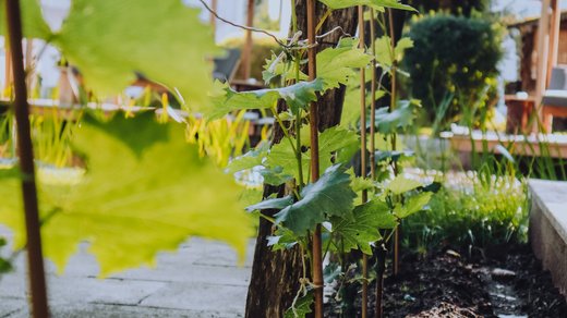 Übersichtsplan Übersichtsplan